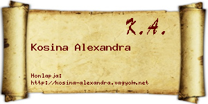Kosina Alexandra névjegykártya